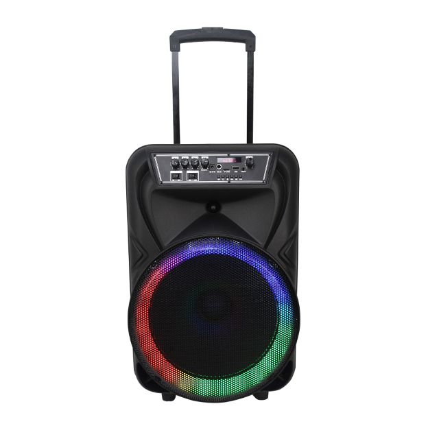12 INCH TROLLEY SPEAKER WITH PULL ROD - Image 2