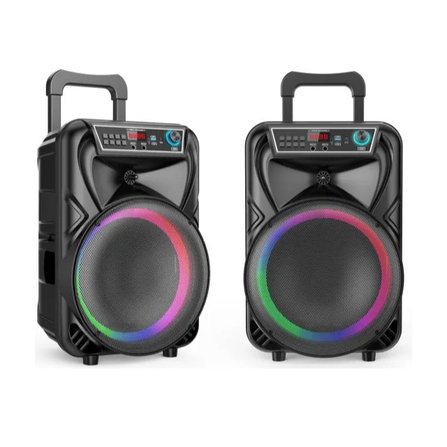 12 INCH TROLLEY SPEAKER WITH PULL ROD - Image 3