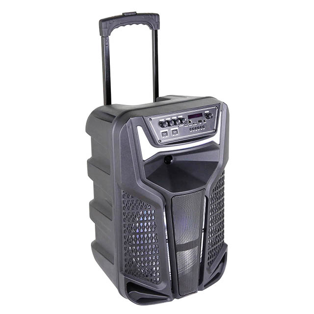 12 INCH TROLLEY SPEAKER WITH PULL ROD - Image 4