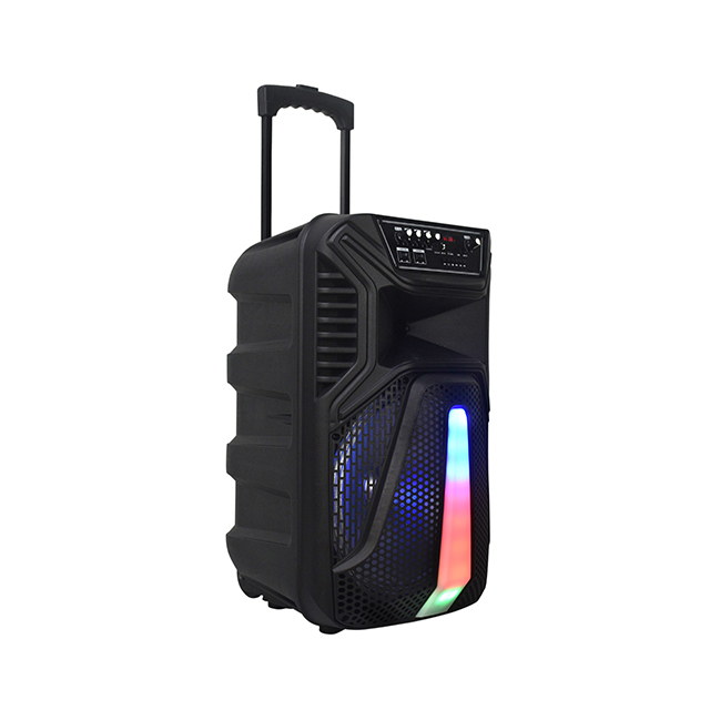 12 INCH TROLLEY SPEAKER WITH PULL ROD - Image 5