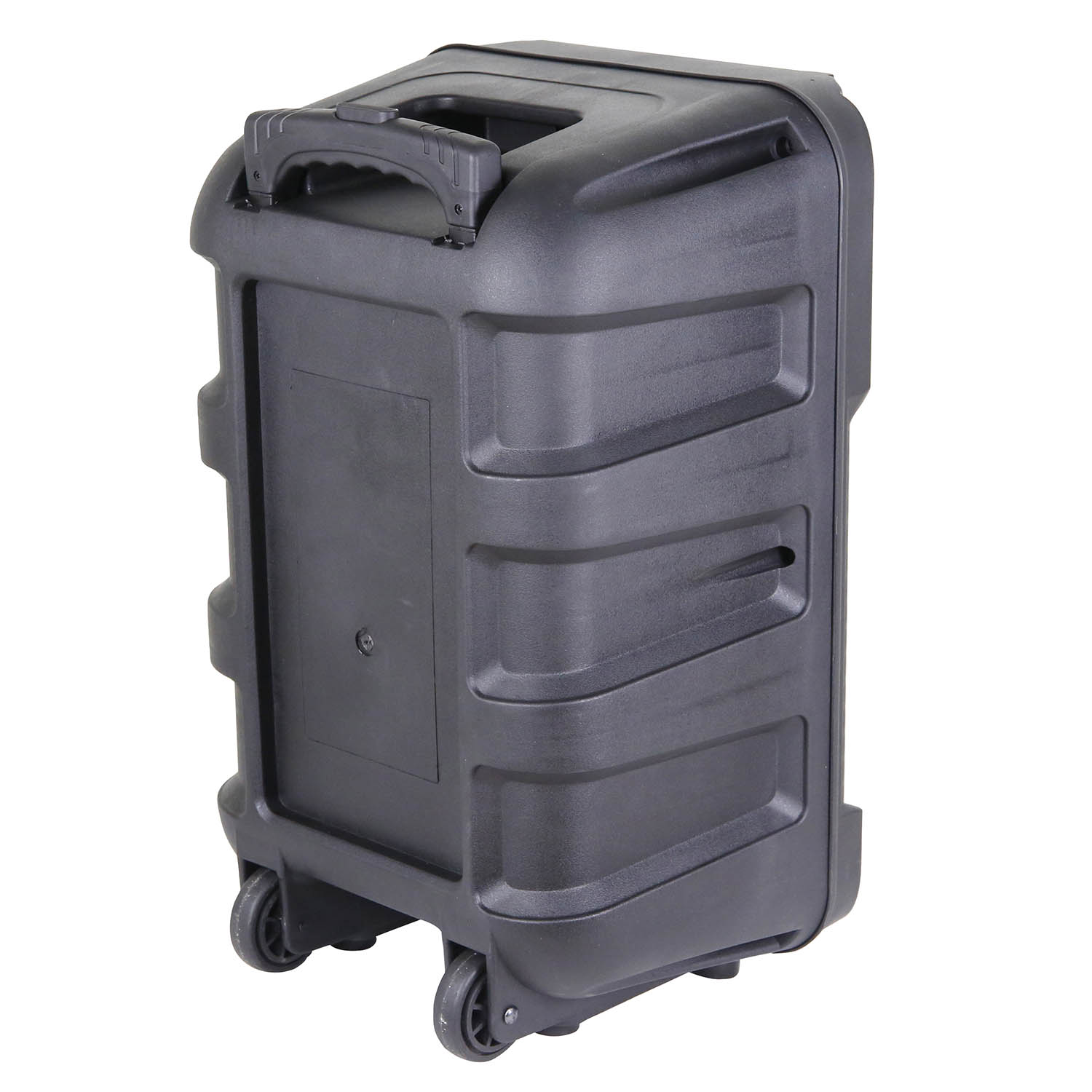 12 INCH TROLLEY SPEAKER WITH PULL ROD - Image 6