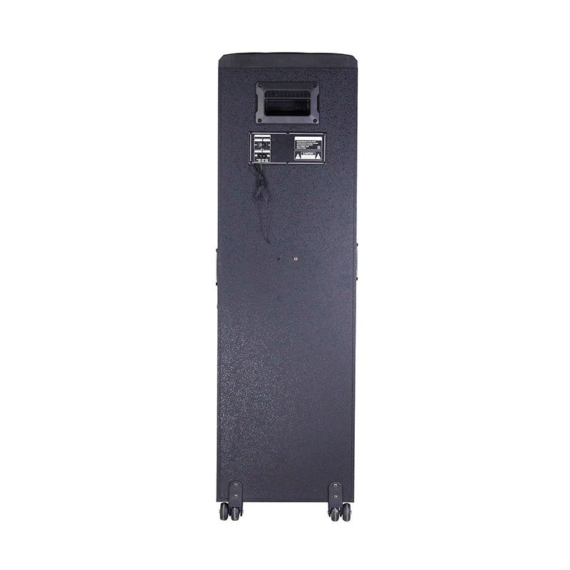 DUAL 8/10 INCH WOOFER KARAOKE WOOD SPEAKER - Image 8