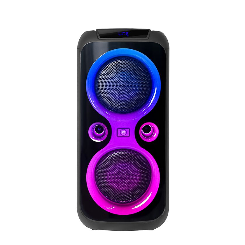 OUTDOOR SPEAKER DAUL 8 INCH ACTIVE AUDIO - Image 2